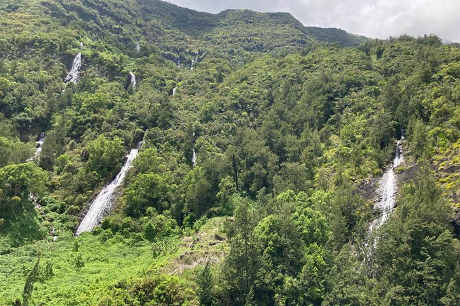 Half Day Discovery of Majestic Waterfalls: Salazie