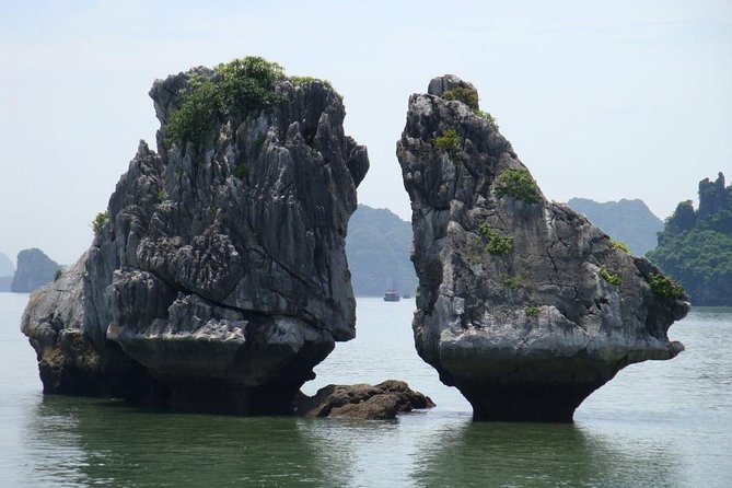 Half Day Explore Halong Bay With Lunch, Sung Sot Cave, Titop Island and Kayaking - Tour Highlights