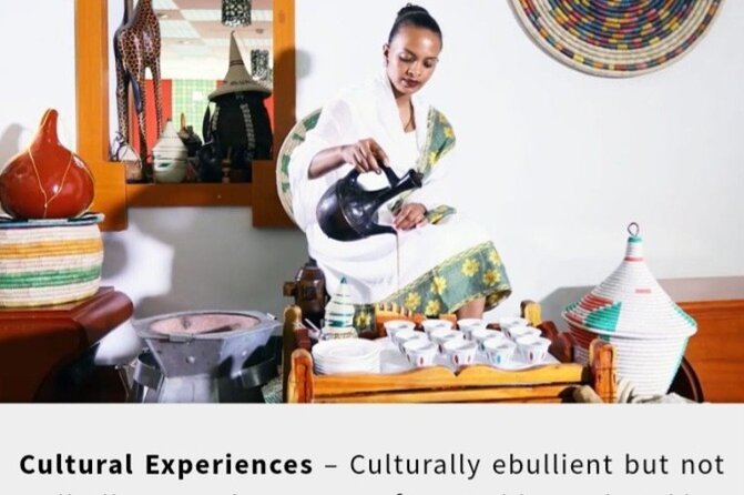 Half Day Food Tour Addis Ababa With Airport Pickup and Drop-Off - Accessibility and Recommendations
