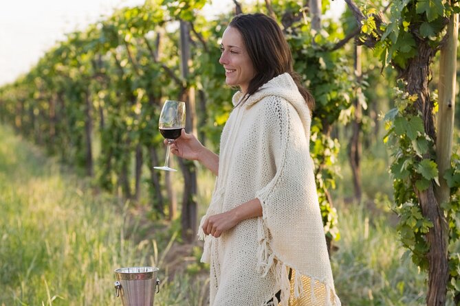 Half-Day Gramma Wine Tasting Tour in Iasi - Tour Details