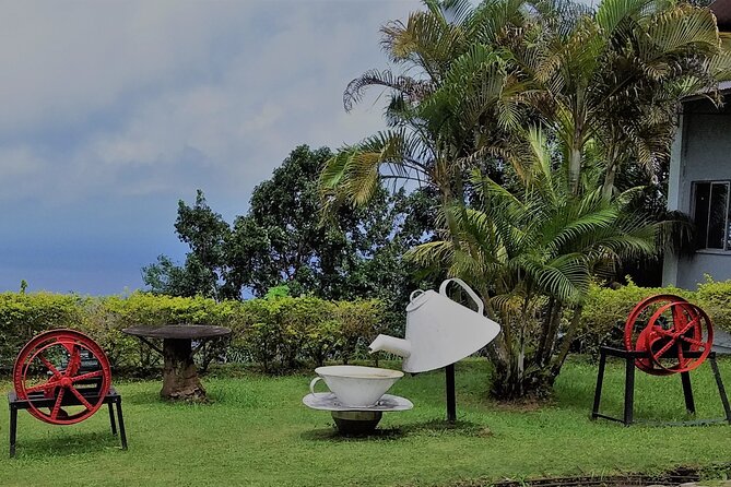 Half-Day Mahe Private Tour - Tour Highlights