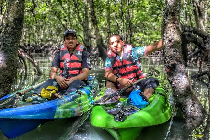 Half-Day Mangrove Kayaking in Langkawi - Price Information