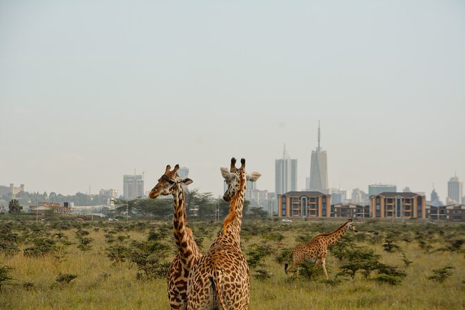 Half-Day Nairobi National Park and Maasai Market With Pick up - Itinerary Highlights