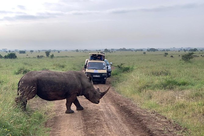 Half-Day Nairobi National Park Safari From Nairobi With Free Pickup - Inclusions