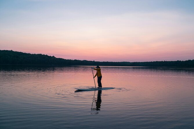 Half Day Paddleboarding Exploration on the Dart