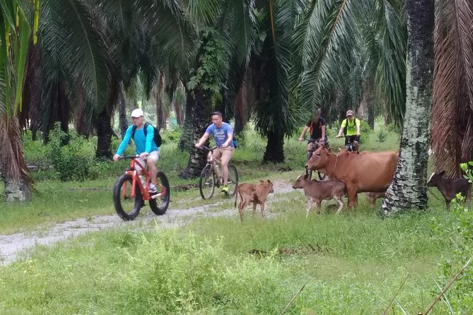 Half-Day Penang Countryside Cycling Tour - Tour Details and Logistics
