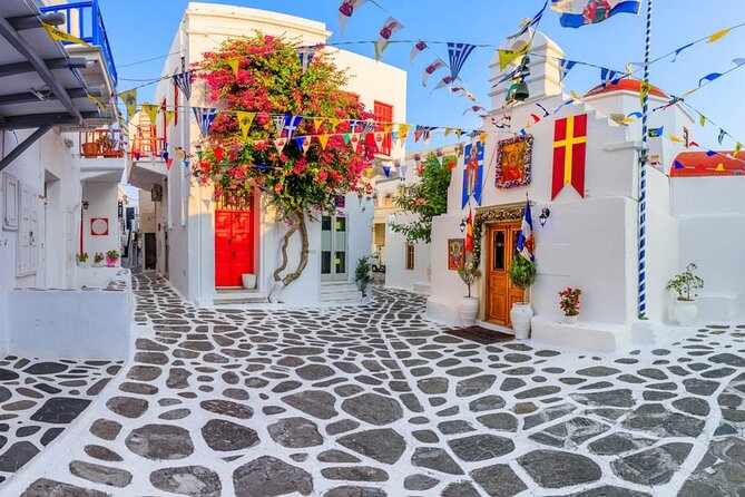 Half Day Private Tour in Mykonos Island - Itinerary Overview