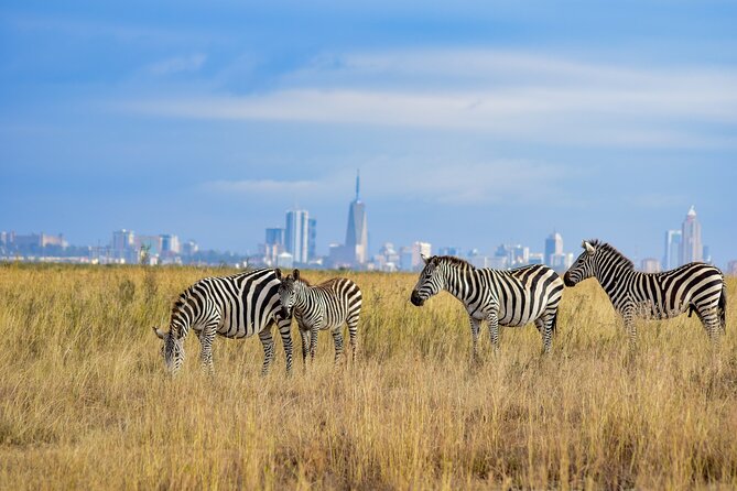 Half Day Safari at Nairobi National Park: Get Ready for the Wild - Inclusions and Pricing Details