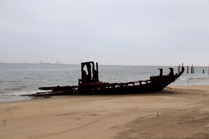 Half-Day Seal Kayak Adventure at Pelican Point in Walvis Bay - Inclusions