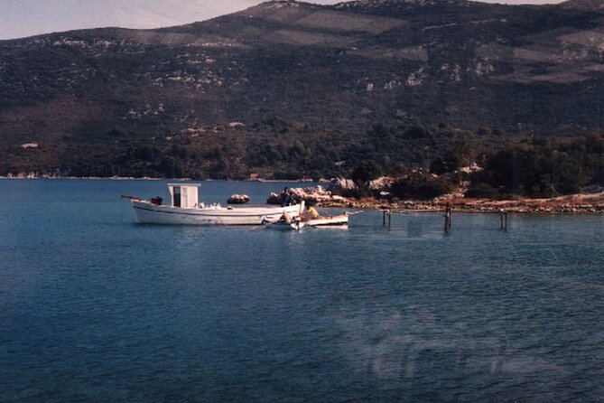 Half-Day Trip - Oysters in Ston - Trip Overview