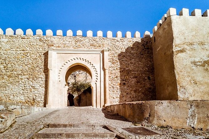 Half-Day Walking Tour of Tangier - Reviews Overview