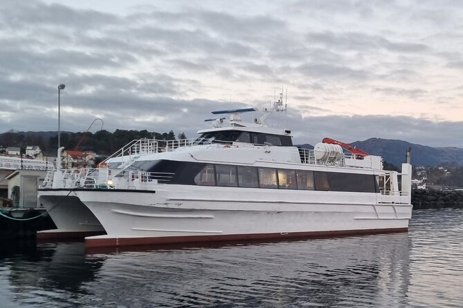 Hellesylt Sightseeing Boat Geirangerfjord - Tour Details