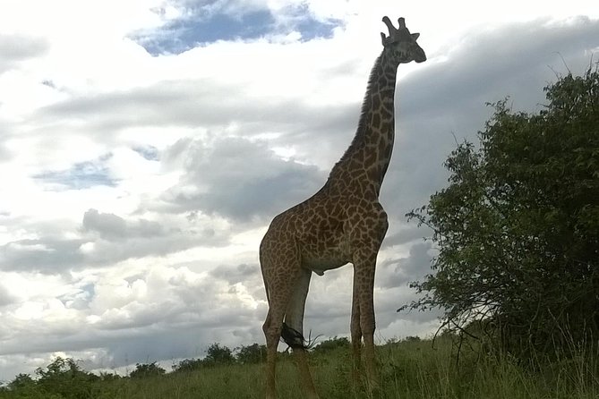 Hells Gate National Park Private Bike Tour From Nairobi - Inclusions and Itinerary