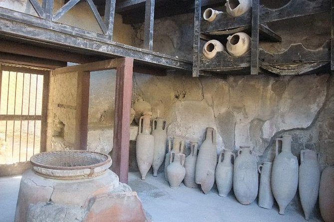 Herculaneum and Mount Vesuvius With Driver Private Shore Excursion From Naples - Inclusions