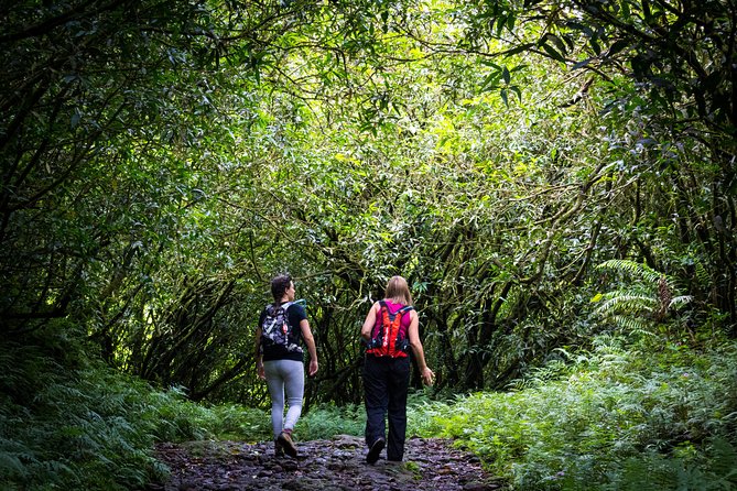 Hike: Bélouve Rainforest and Trou De Fer - Meeting Point