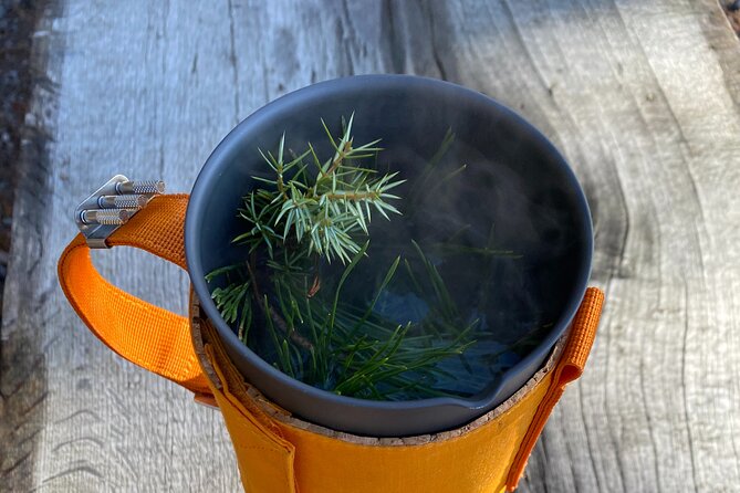 Hike With Wild Forage Surviving Tips and Local Lunch at the Lake - Inclusions and Services