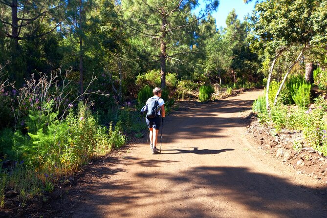 Hiking Classic Tenerife - Overview