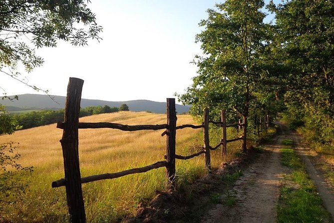 Hiking in the Bükk Mountains Near Eger - Meeting and Pickup Details