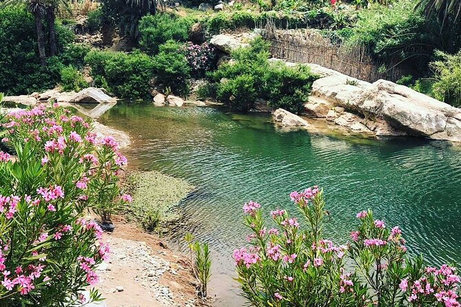Hiking ,Swiming , and Lunch With Berber Family in Paradise Valley - Location Details