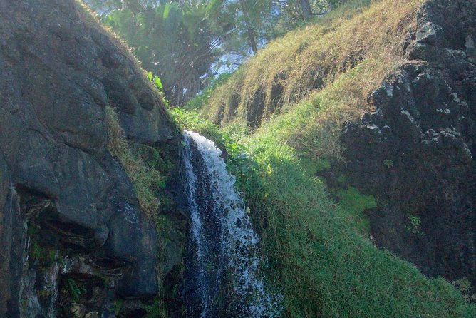 Hiking – The Wild South
