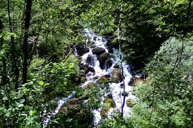Hiking Tour Mrtvica Canyon - Experience Details