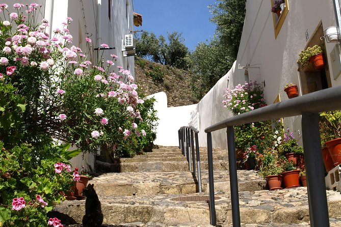 Historical Central Portugal Private Tour 4 Days