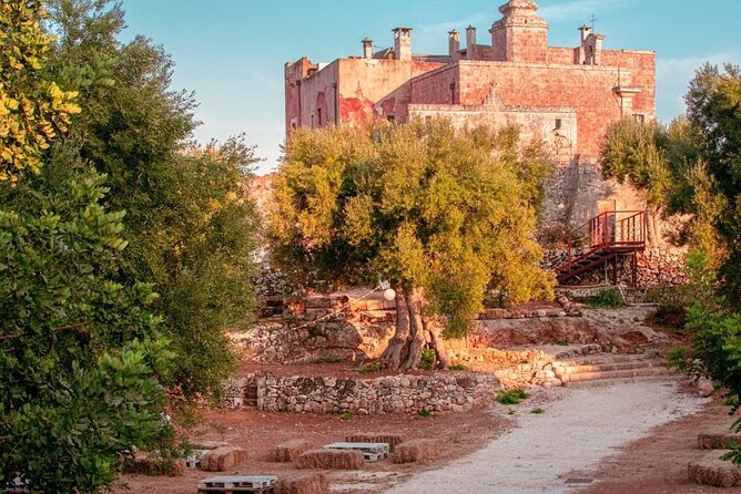 Historical Tour of Rural Park With 3 Apulian Wines Tasting - Tour Highlights & Itinerary