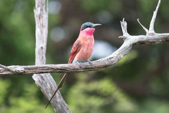 HLANE ROYAL NATIONAL PARK – Daytrip (Open Vehicle)
