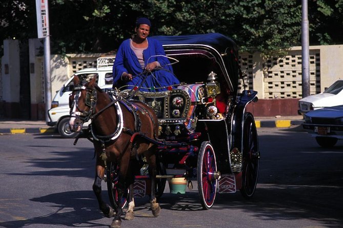 Horse Carriage Ride in Aswan - Enjoy a Leisurely Carriage Ride