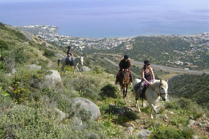 HORSE RIDING 1.5 Hours Mountains From Area Hersonissos CRETE - Booking Information