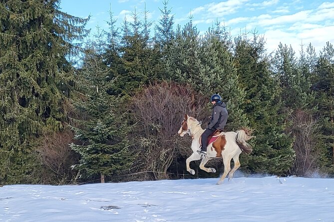 Horse Riding Day Trip in the Rila Mountain - Activity Details