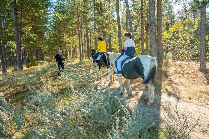 Horse Riding Experience From Bansko