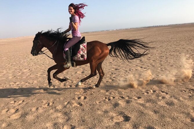 Horse Riding Two Hours at Amazing Desert in Marsa Alam With Transfer-Marsa Alam - Additional Information