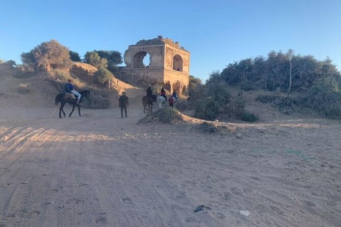 Horseback Riding on Essaouira Beach With Transport - Selecting Preferred Transport Options