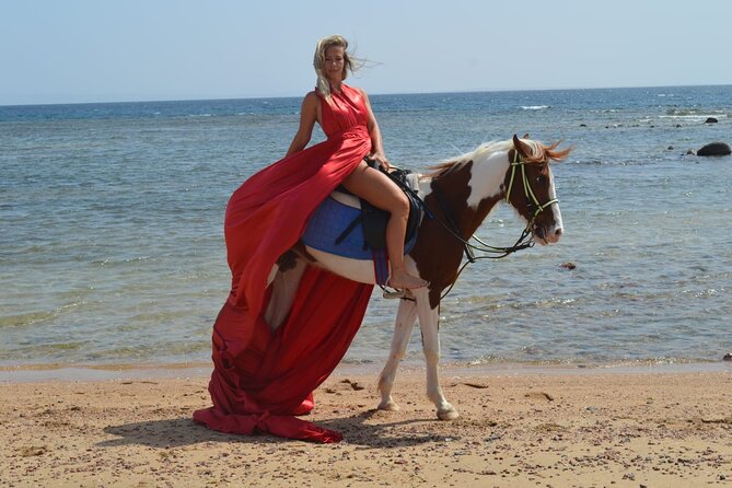 Horseback Riding Tour Desert & Beach at Nabq Bay - Sharm Elsheikh - Pickup Information