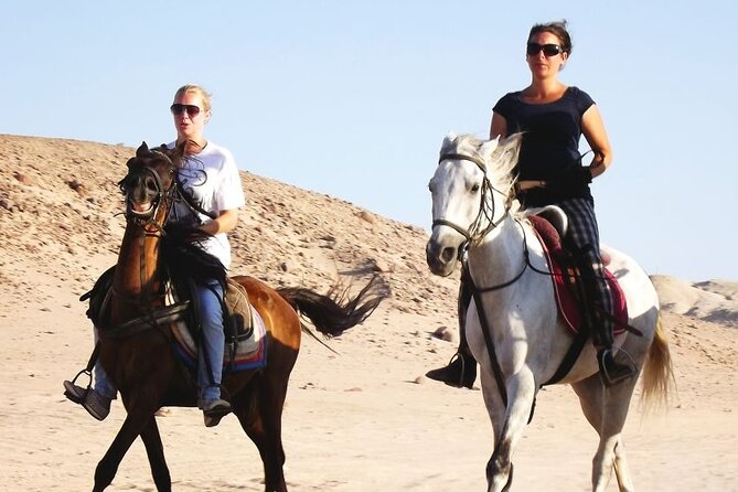 Hurghada: Arabian Desert and Sea Horseback Adventure - Desert Horseback Riding Experience