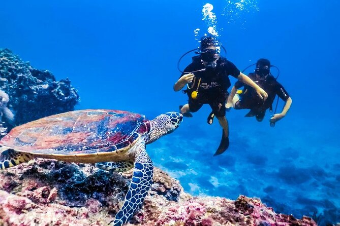Hurghada Beginner Scuba Diving Trip: Lunch and Transfers Included - Dive Site Details