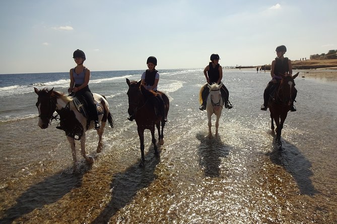 Hurghada: Sea and Desert Tour by Horse - Tour Overview