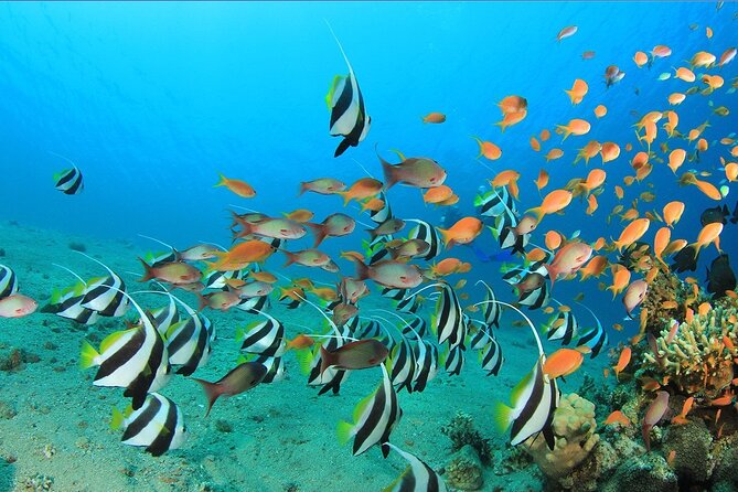 Hurghada Water Sports Adventure at Orange Bay Island - Duration: 8 Hours