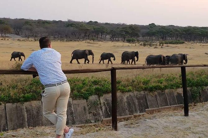 Hwange 3 Day Safari - Itinerary Highlights