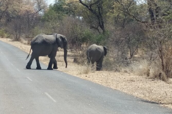 Hwange National Park 3 Days Package - Booking and Cancellation Information