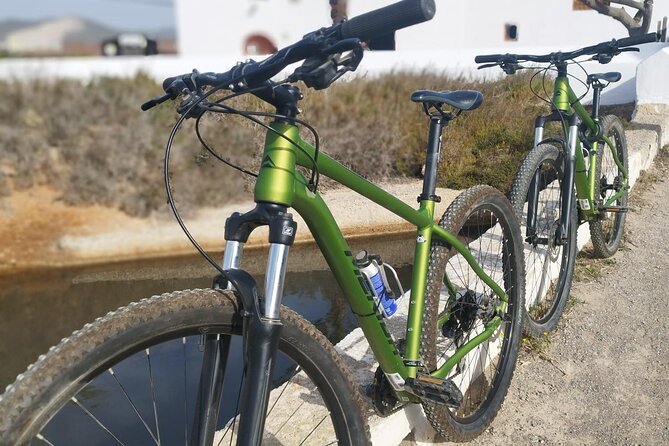 Ibiza: Bicycle Excursion in Las Salinas Natural Park
