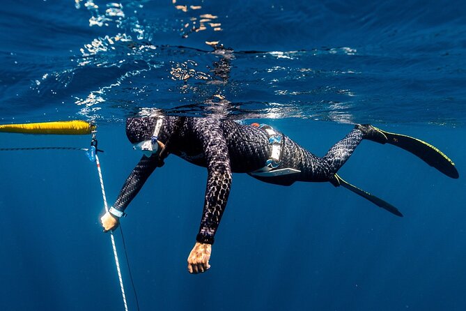 Introduction to Snorkeling in Tomar