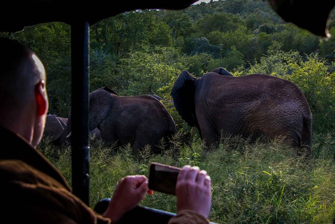 Isimangaliso Wetland Park, Night Drive Safari - Cancellation Policy