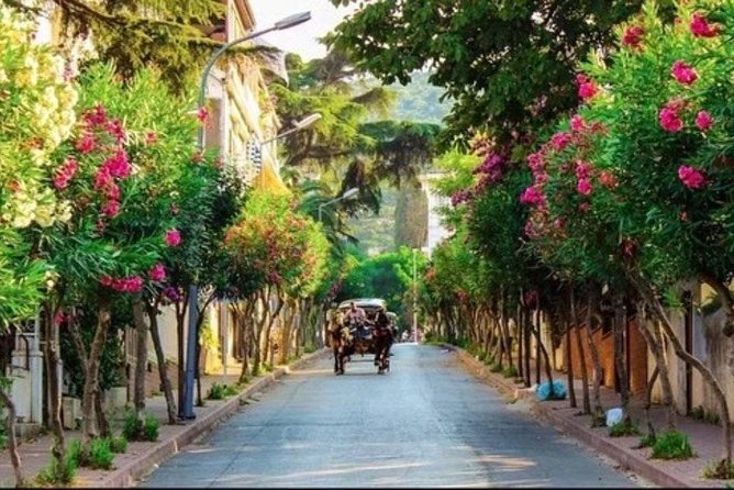 Istanbul Cruise Tour to the Princes Islands With Lunch - Meeting and Pickup Details