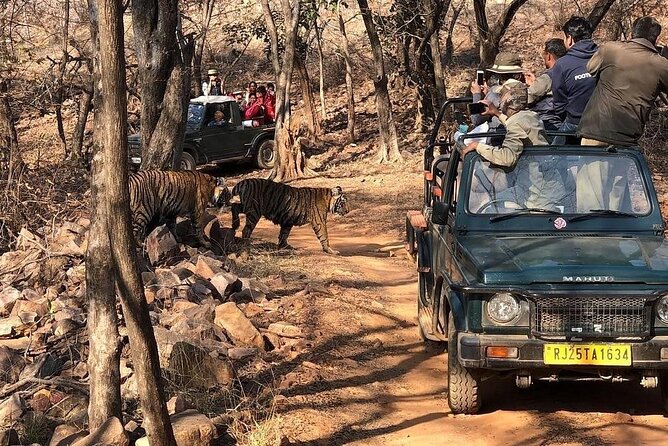 Jaipur to Ranthambore National Park Same Day Tour - Inclusions and Pickup Details