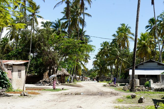 Jambiani Village Tour