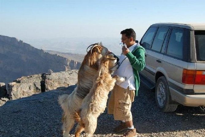 Jebel Shams Day Trip: The Grand Canyon of Oman - Overview