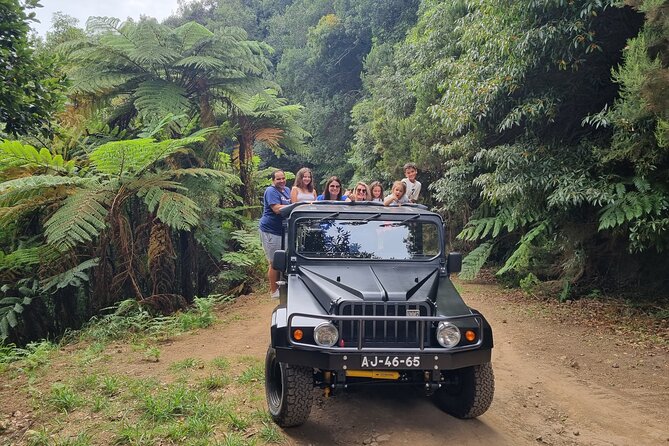 Jeep 4x4 Full Day East, Santana, Thatched Houses, Pico Areeiro, Levada Walk - Tour Details