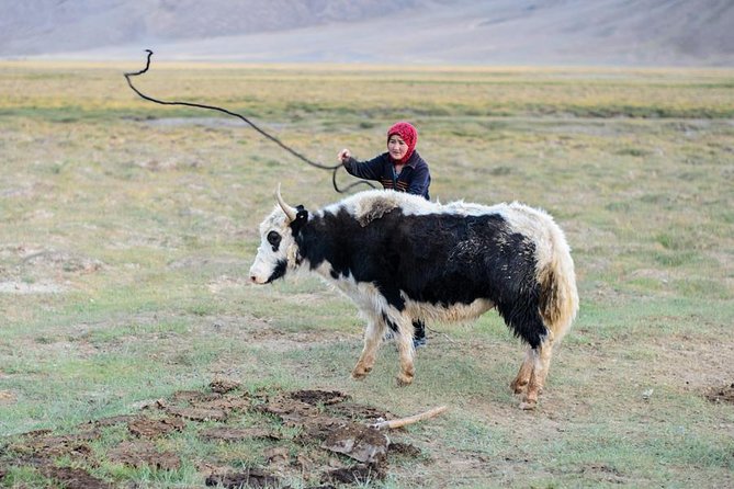 Jeep Adventure Through the Pamir Highway From Tajikistan to Kyrgyzstan